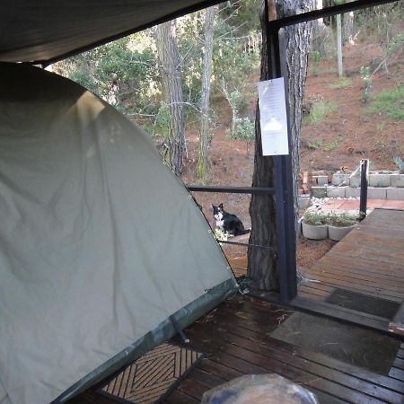 Eagles' Call Cottages And Tent Wilderness Bagian luar foto