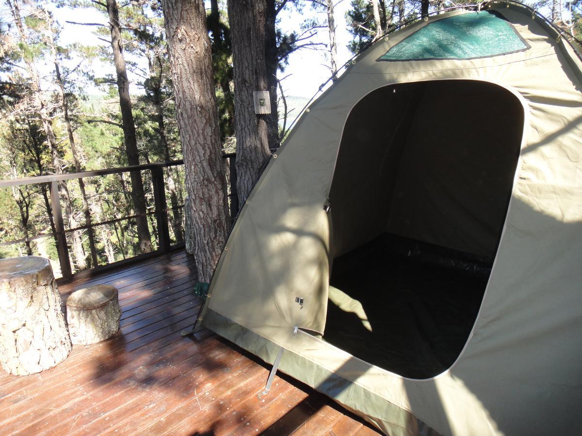Eagles' Call Cottages And Tent Wilderness Bagian luar foto